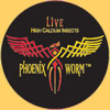 4 Cups of 100+ Large Phoenix Worms ( 16mm, approx 9/16") 4 Cups of 100+ Large Phoenix Worms ( 16mm, approx 9/16")