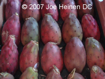 Cactus Fruit 1lb despined (organic) Cactus Fruit 1lb despined (organic)