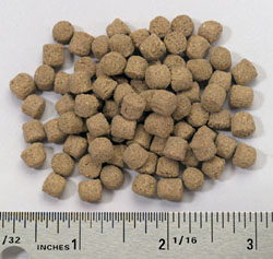 NASCO's Turtle Brittle 1 pound NASCO's Turtle Brittle 1 pound