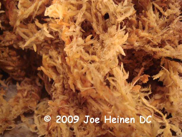 Sphagnum Moss Long fiber New zealand 150 grams Sphagnum Moss Long fiber New zealand 150 grams